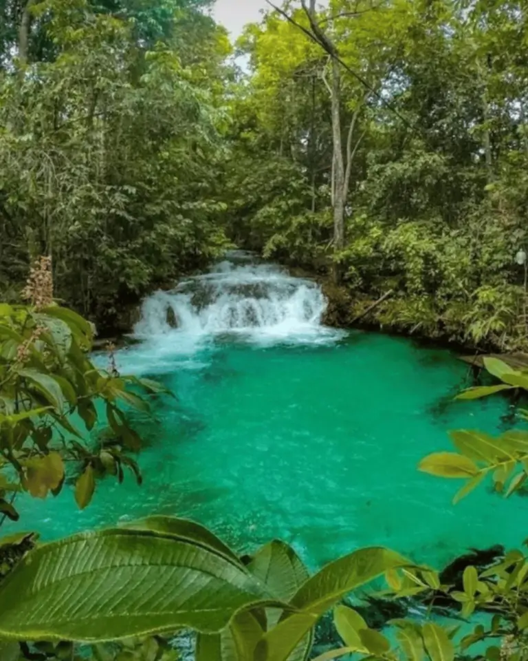 Foto do deslumbrante cenário natural do Jalapão, com montanhas, cachoeiras e vegetação exuberante. Destaque para o pacote de viagens da Jalapão Titans Ecoturismo, oferecendo uma aventura única e imersiva na natureza intocada. Ideal para quem busca experiências autênticas de ecoturismo.