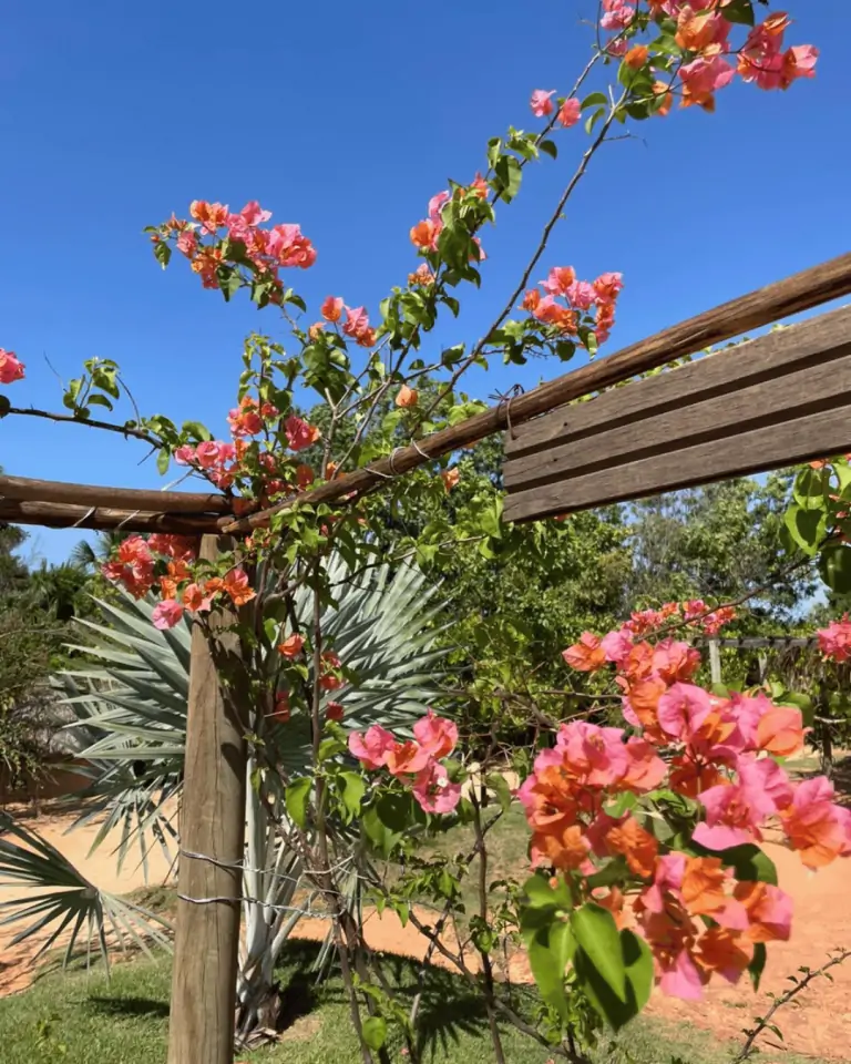 Foto do deslumbrante cenário natural do Jalapão, com montanhas, cachoeiras e vegetação exuberante. Destaque para o pacote de viagens da Jalapão Titans Ecoturismo, oferecendo uma aventura única e imersiva na natureza intocada. Ideal para quem busca experiências autênticas de ecoturismo.